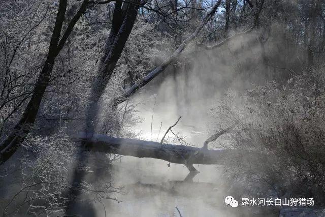 别人听我入心了怎么回复别人听我入心了怎么回复!—全球最热门的红迪网平台