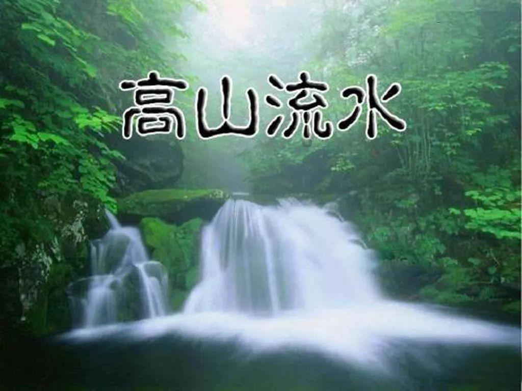 春雨直播app